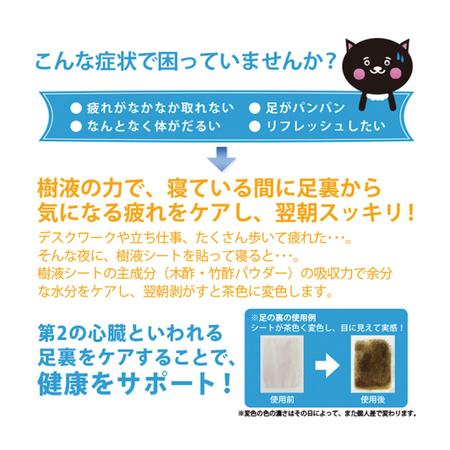 photo4