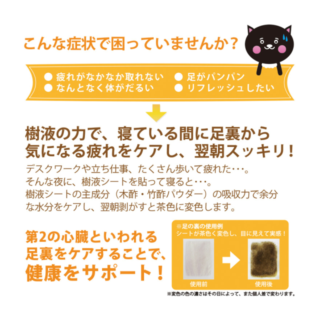 photo4