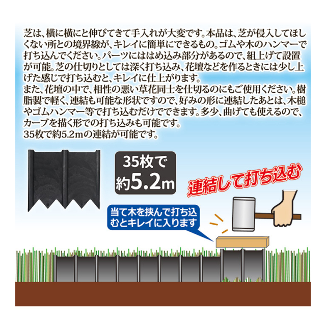 photo3