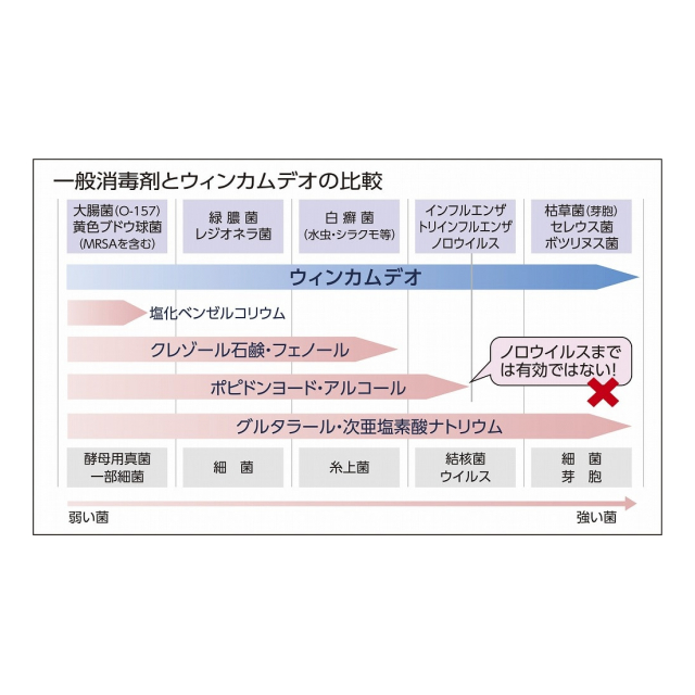photo7