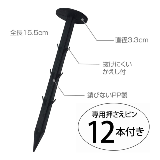 photo7