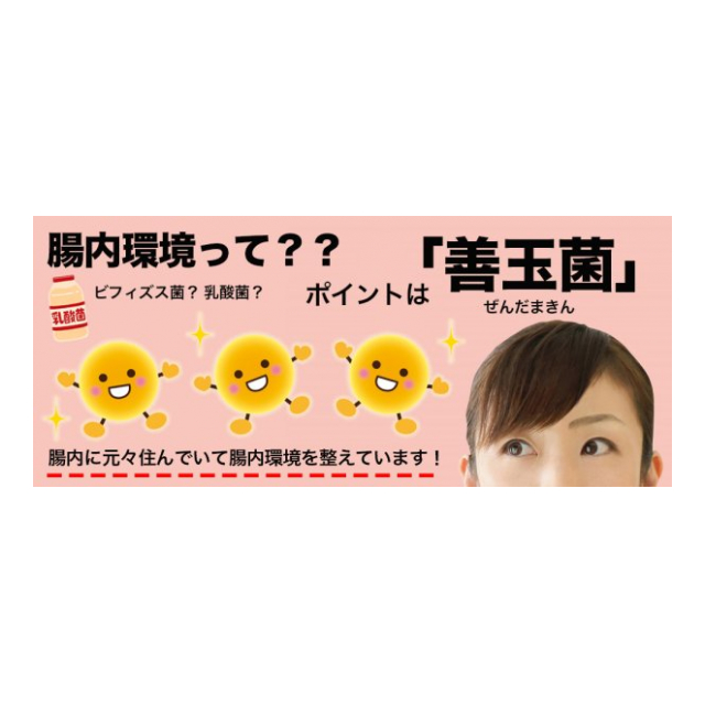 photo4