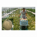 数量限定・有機JAS認証・坂本正男農園・富良野メロン・ゆめてまり（優品）糖度16度〜17度という絶妙のあまさ