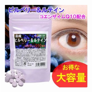 人気メーカー・パソデ・約1年分・ビルベリー＆ルテイン(Ｑ１０配合）日本製