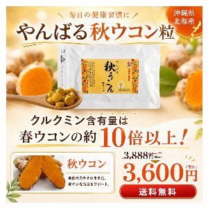 やんばる秋ウコン 粒タイプ 500粒　沖縄県産　二日酔い対策
