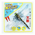 夏向き商材・虫の天敵・蚊・ハチ・虻・ハエなどの天敵、肉食トンボの鬼ヤンマ 大きな目で威嚇