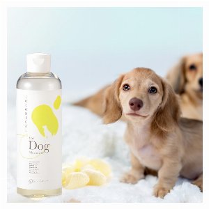 絹生活研究所・愛犬と飼い主の肌に優しいシルク配合COCONICAL・COCONICAL for Dogシャンプー