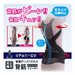骨盤からととのえるメッシュの背筋サポーター 