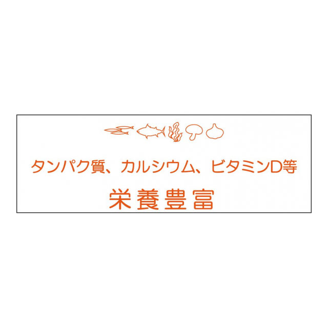 photo8