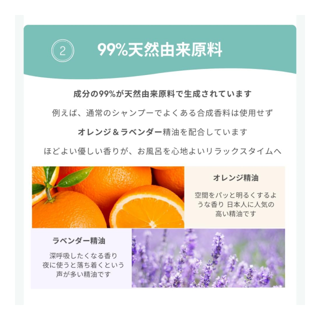 photo5