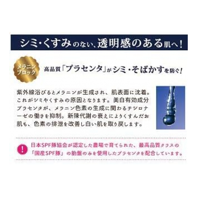 photo4