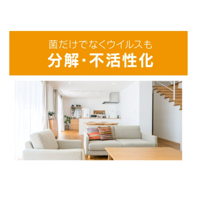 photo1