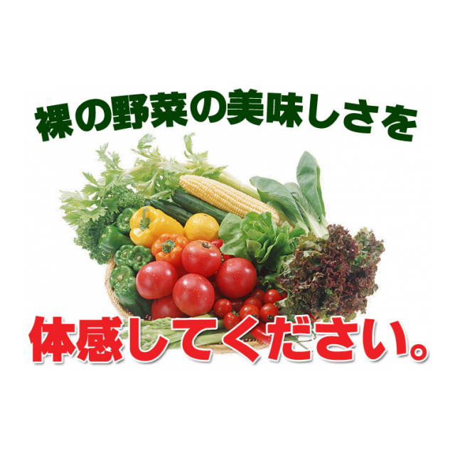 photo6