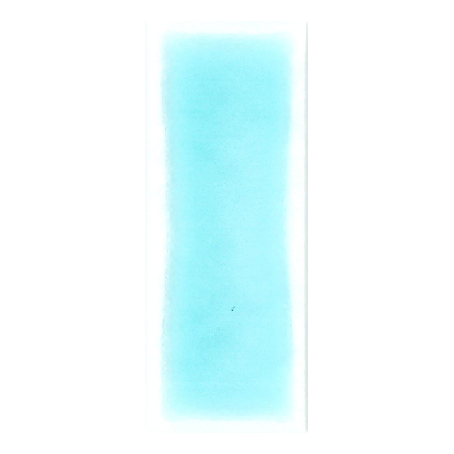 photo5