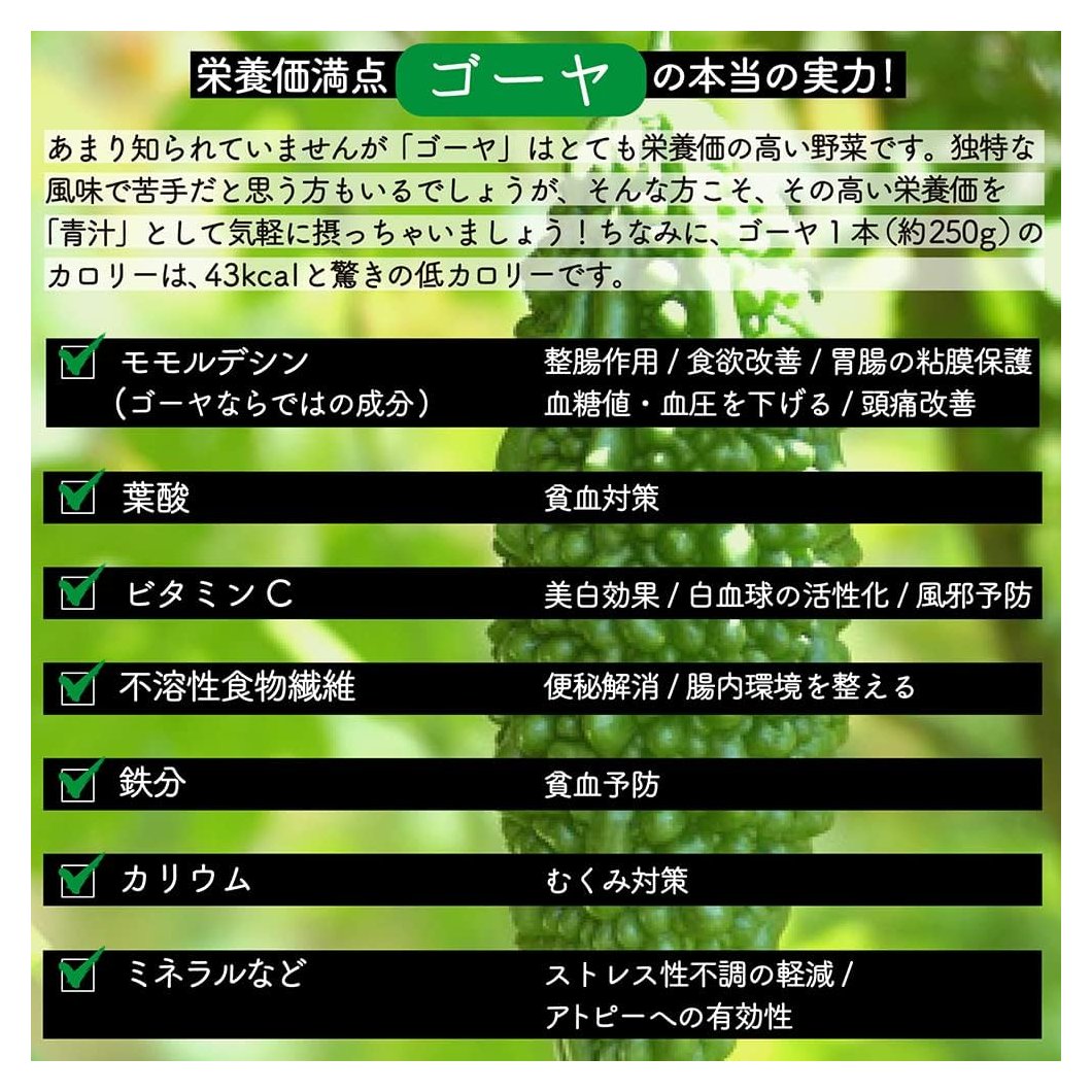 photo5