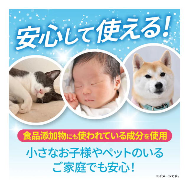 photo4