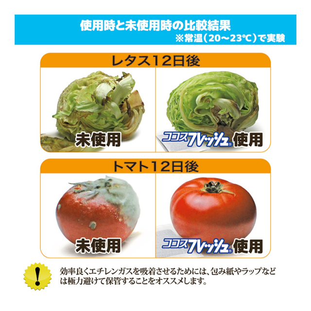 photo5