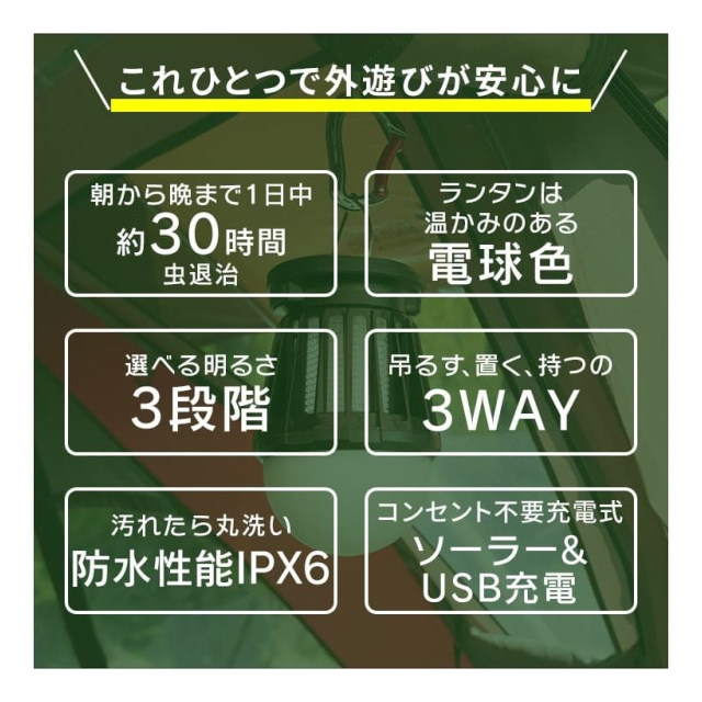photo5