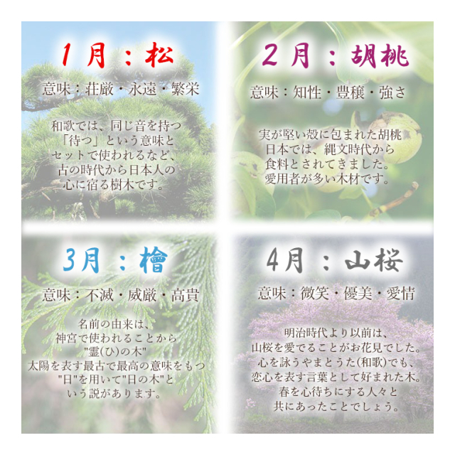 photo3