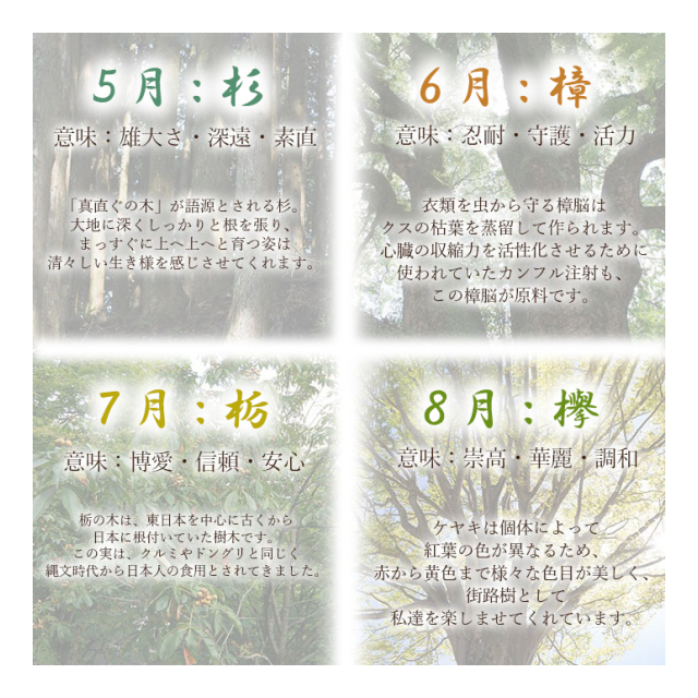photo4