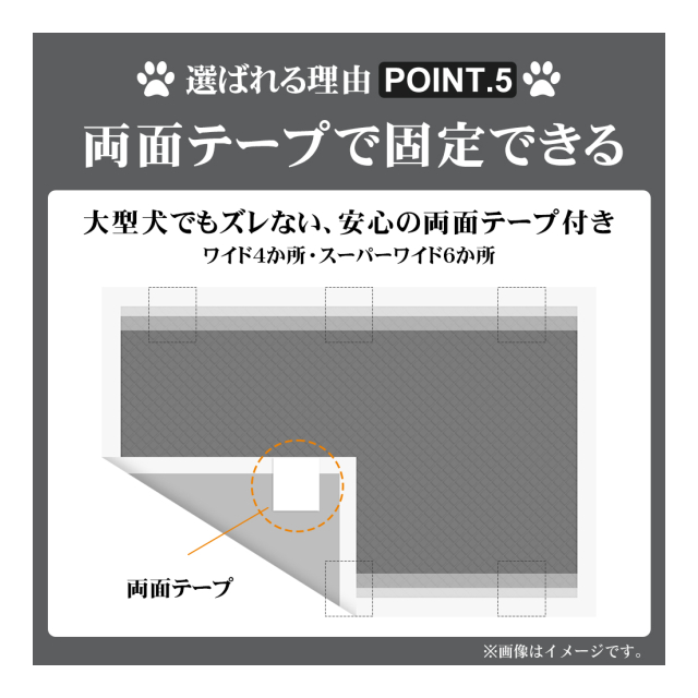 photo6