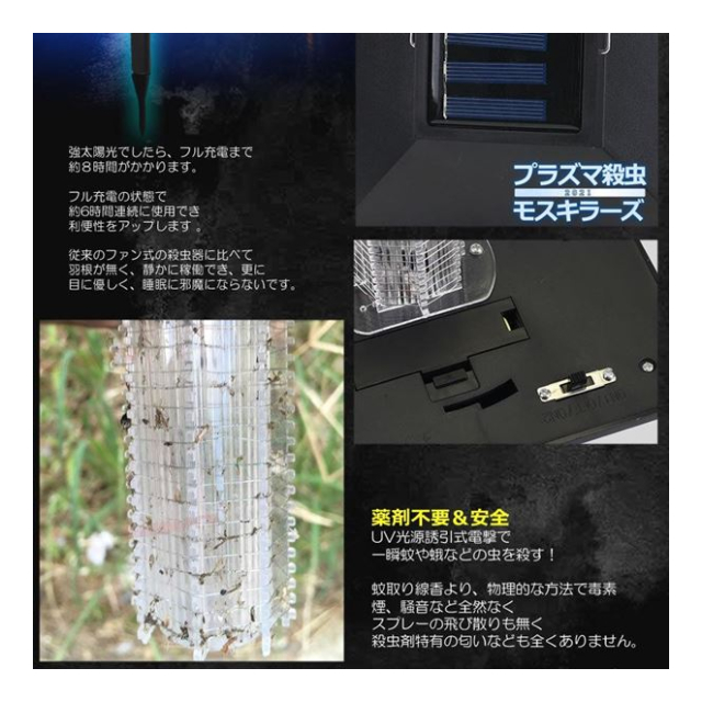 photo4
