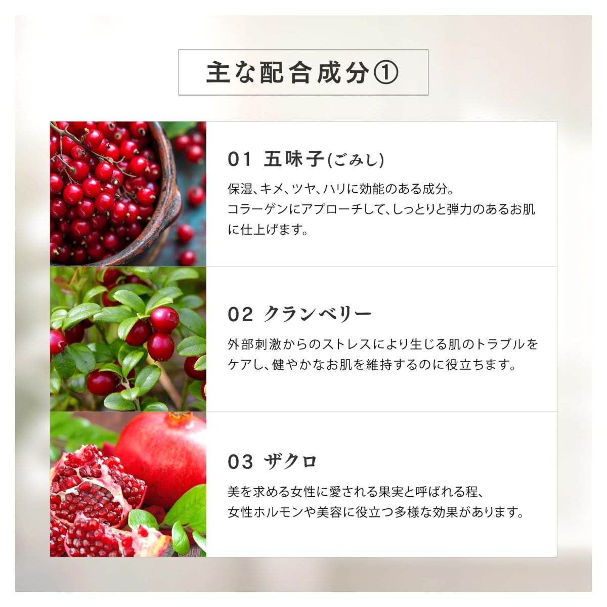 photo4