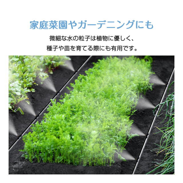 photo3
