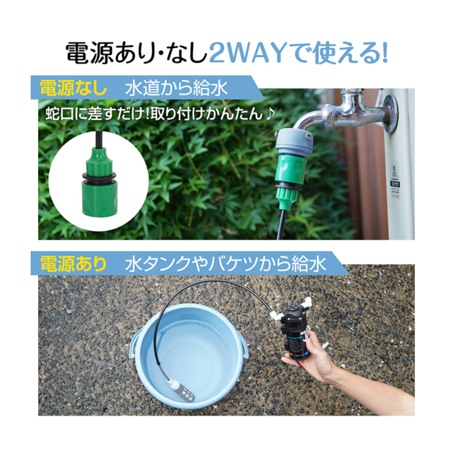 photo4
