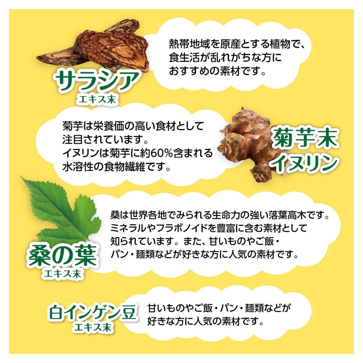 photo5
