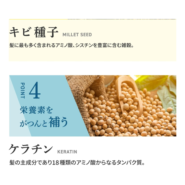 photo7