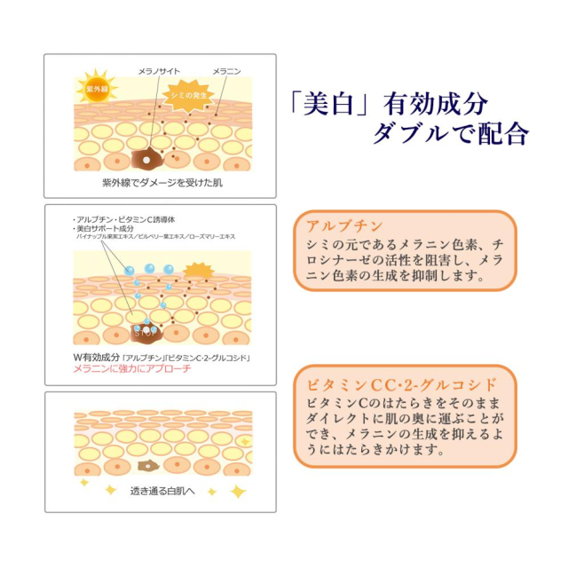 photo6