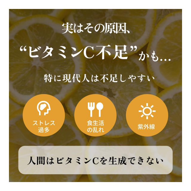 photo4