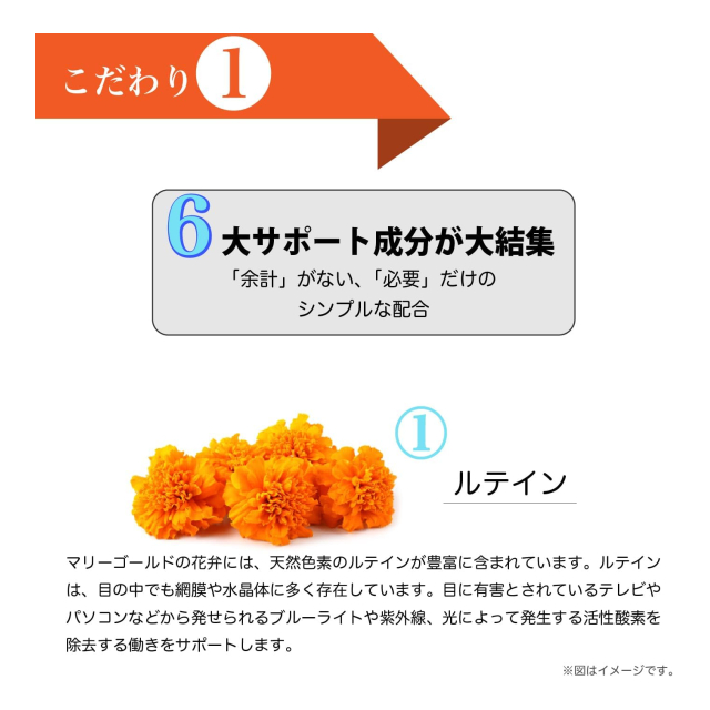 photo3