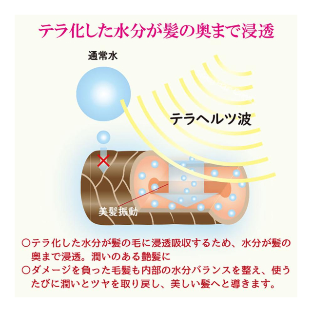 photo4