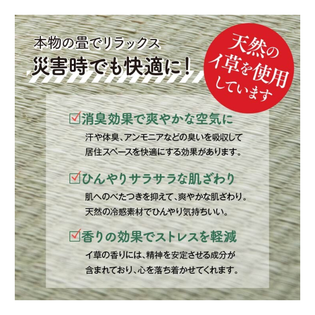 photo1