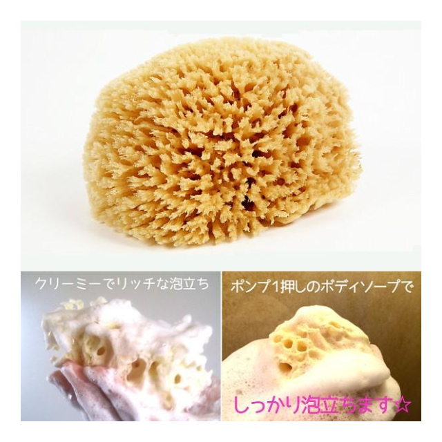 photo4