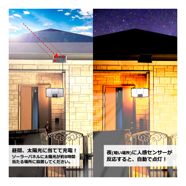 photo3