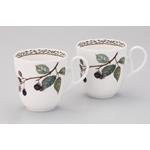 キューティーローズ カップ＆ソーサー