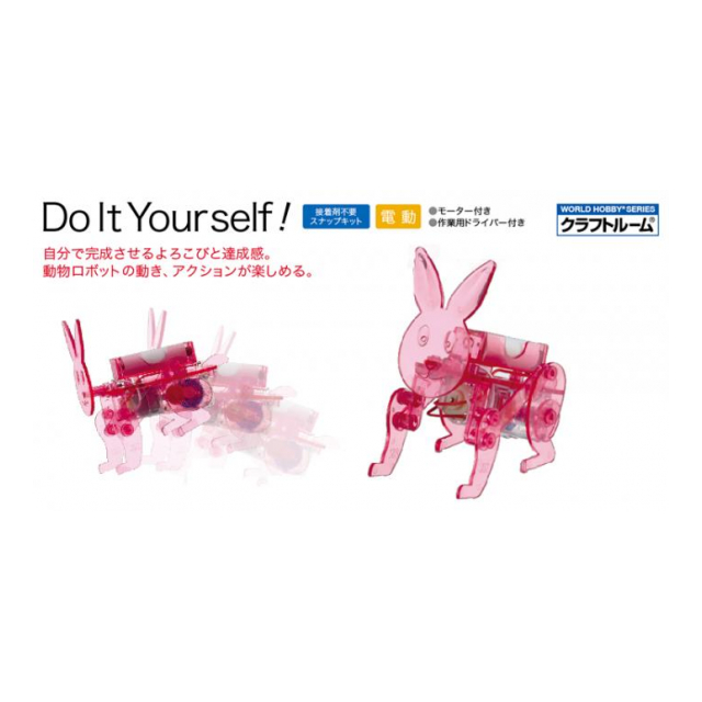 新D.i.Y　ペット　ウサギ
