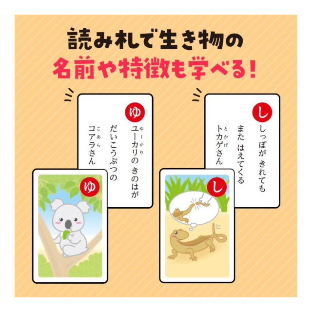 photo5