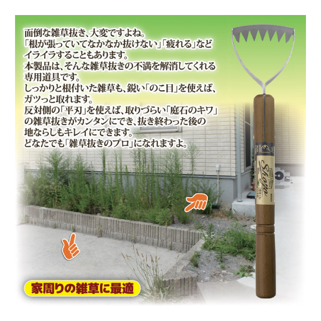 photo3