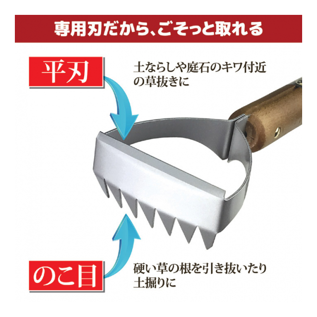 photo4