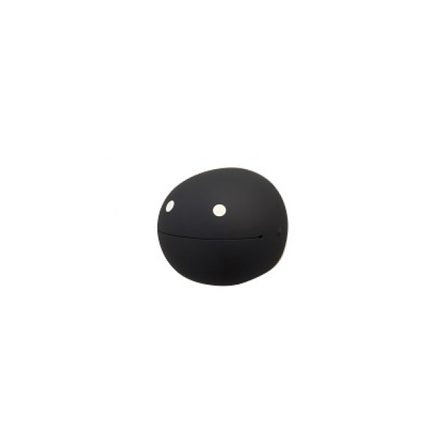 photo1
