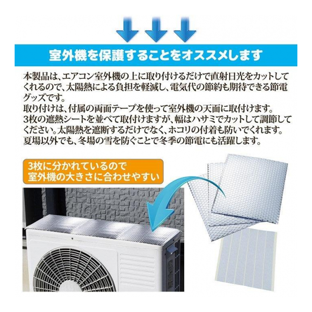 photo4