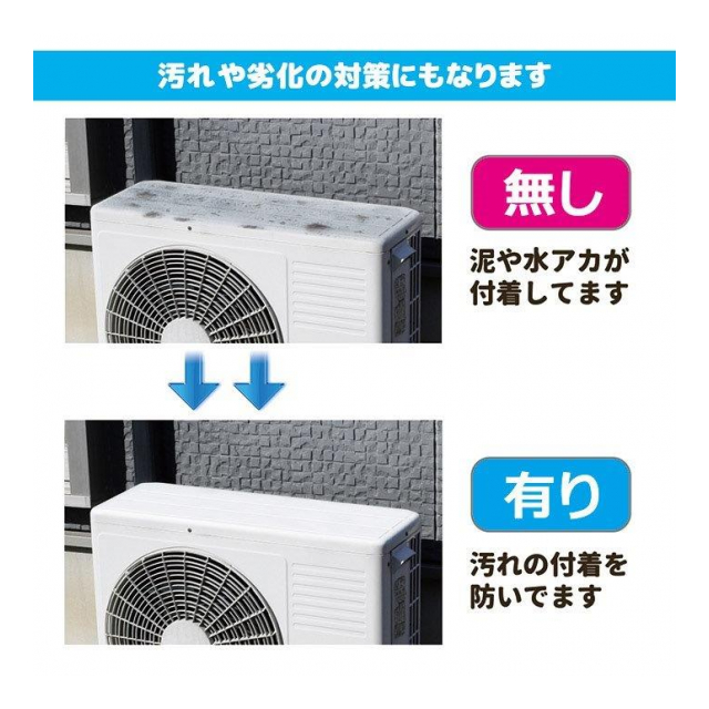 photo5