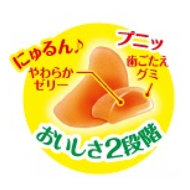 photo2