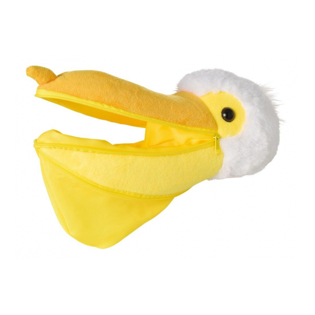 photo1