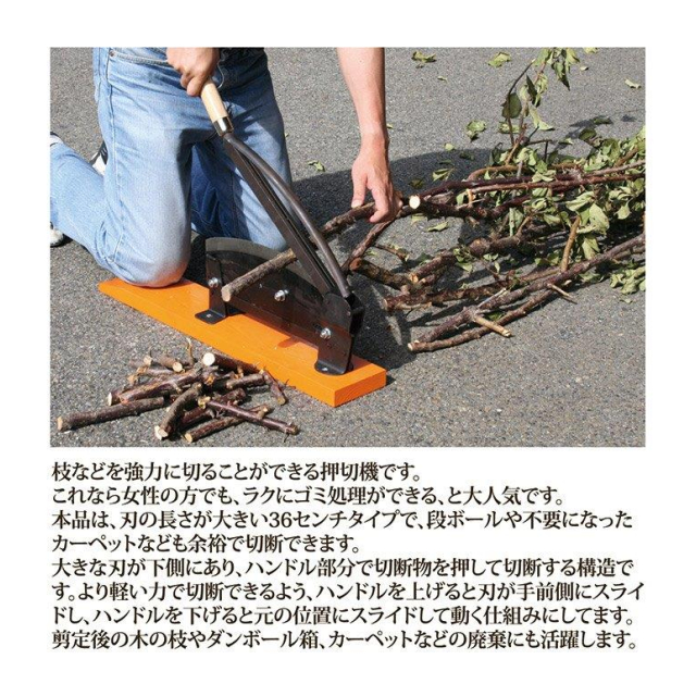 photo3