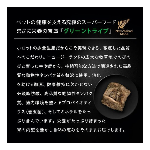 photo6